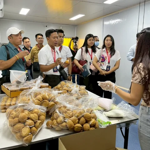 meeting-in-our-factory